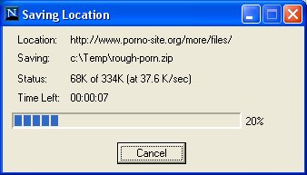 DownHoax Netscape 4.x screen